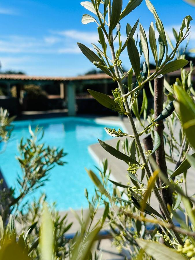 Residence Casa Di Paoli Porto-Vecchio  Eksteriør billede